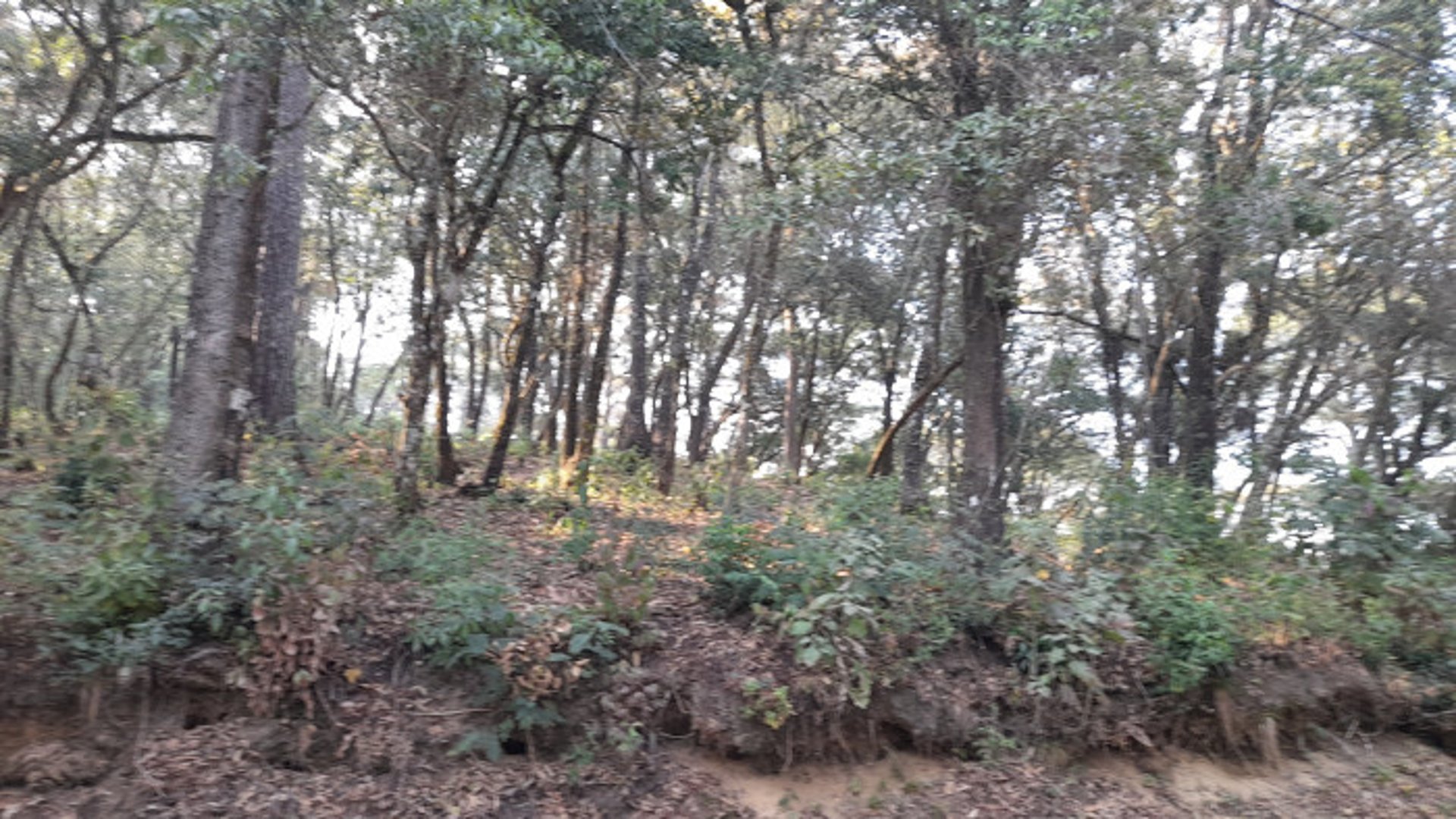 Terreno en Venta en El Encinal Zona 7 Mixco - Miniatura 11