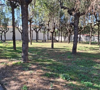 TERRENO EN VENTA  DENTRO CONDOMINIO EN ANTIGUA G,