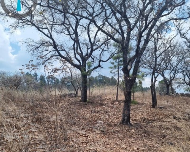 Terreno Comercial en Venta, Jalapa, Cabecera