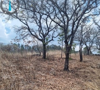 Terreno Comercial en Venta, Jalapa, Cabecera