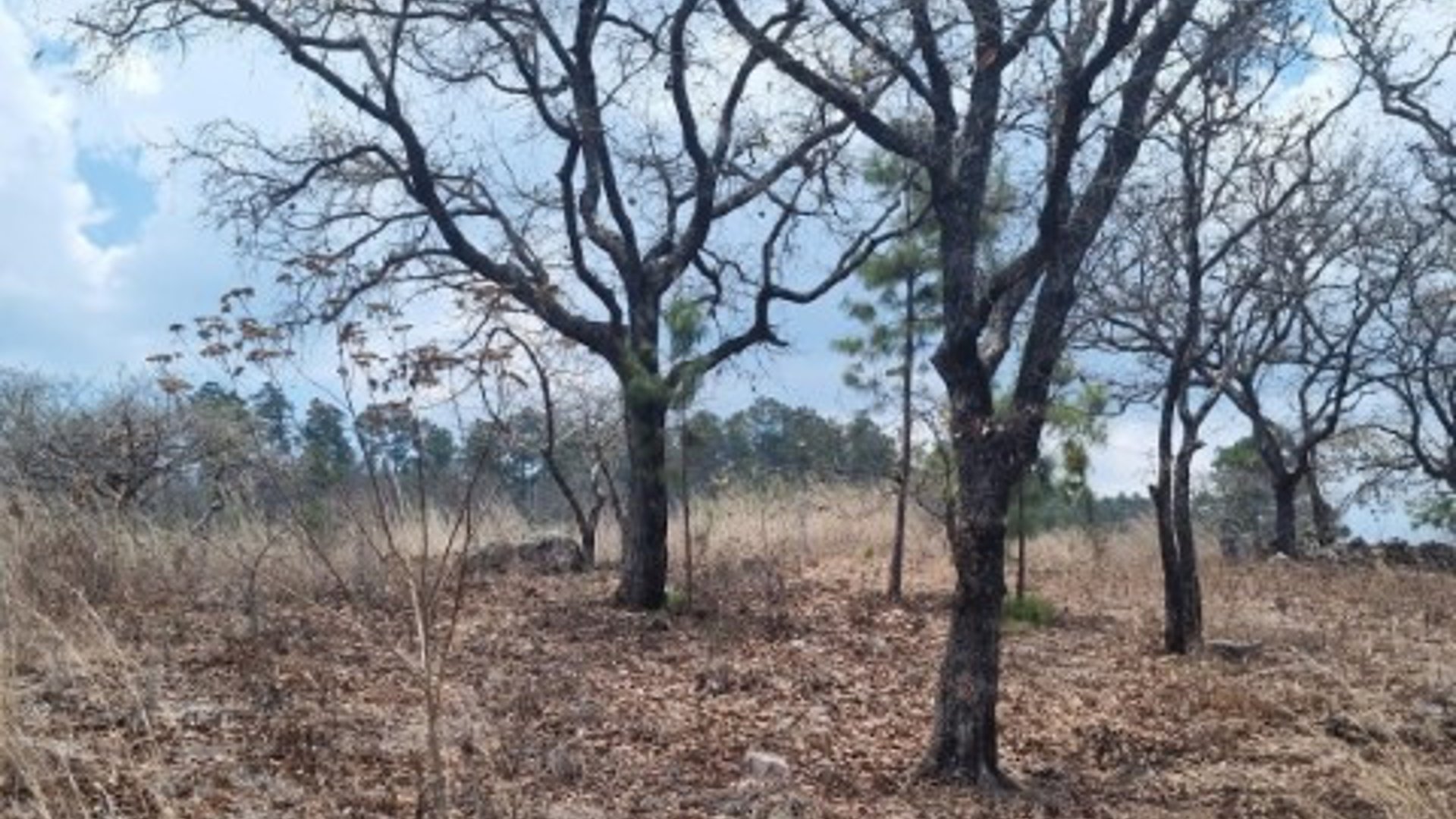 Terreno Comercial en Venta, Jalapa, Cabecera