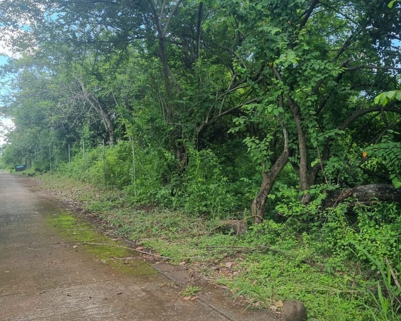 Terreno en Venta en Masagua, Escuintla | Oportunidad Inmobiliaria