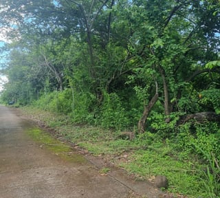 Terreno en Venta en Masagua, Escuintla | Oportunidad Inmobiliaria