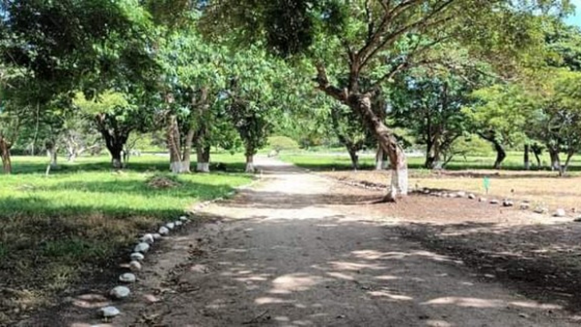 Lotes en Venta Club Residencial La Laguna Jutiapa - Miniatura 12