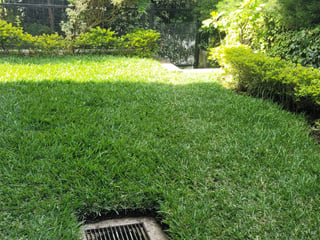 Hermosa Casa en Renta en Condominio Santuaria Muxbal km 14.5 CAES, 4 Habitación con Hermoso Jardin‼️ - 5