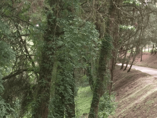 VENTA DE TERRENO EN SANTA ROSALIA LA LAGUNA - Image 1