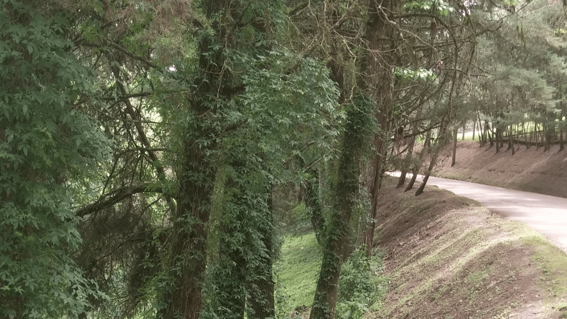 VENTA DE TERRENO EN SANTA ROSALIA LA LAGUNA