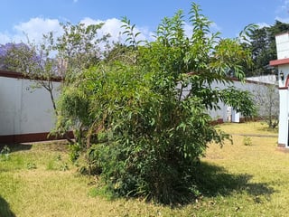 VENDO AMPLIA CASA EN ZONA 7 SECTOR MATEO FLORES - 4