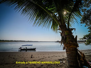 Terreno en Venta en Iztapa, Escuintla  - 5