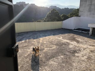 Casa Molino de las Flores en venta - Image 25