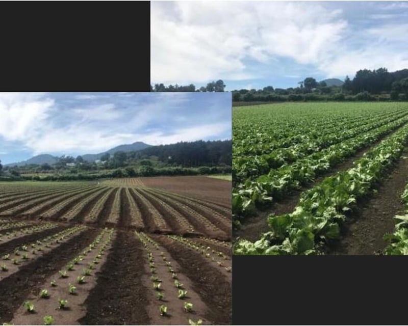 Terreno en venta – Milpas Altas, Florencia!