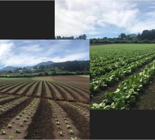 Terreno en venta – Milpas Altas, Florencia!