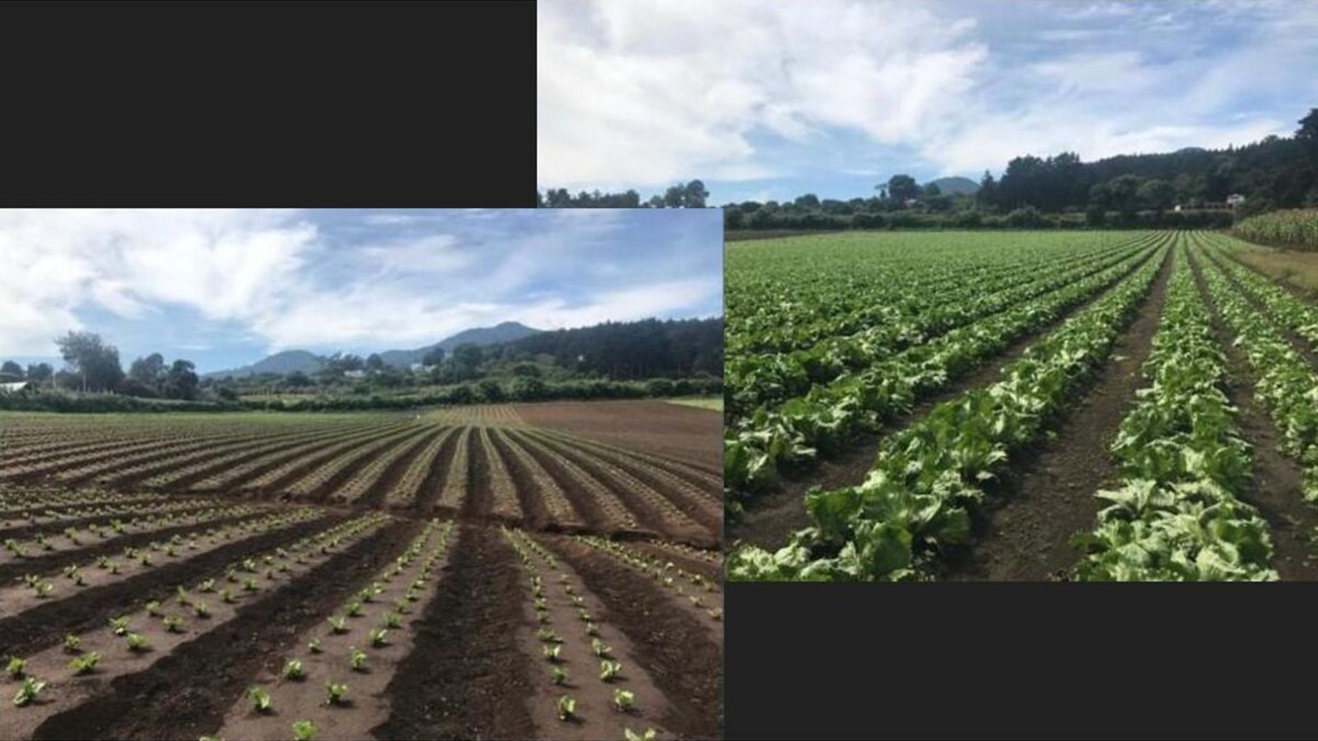 Terreno en venta – Milpas Altas, Florencia!