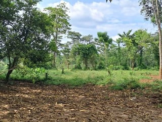 TERRENO EN VENTA – COATEPEQUE, A 200 METROS DEL KM 223 CA-2 - 2