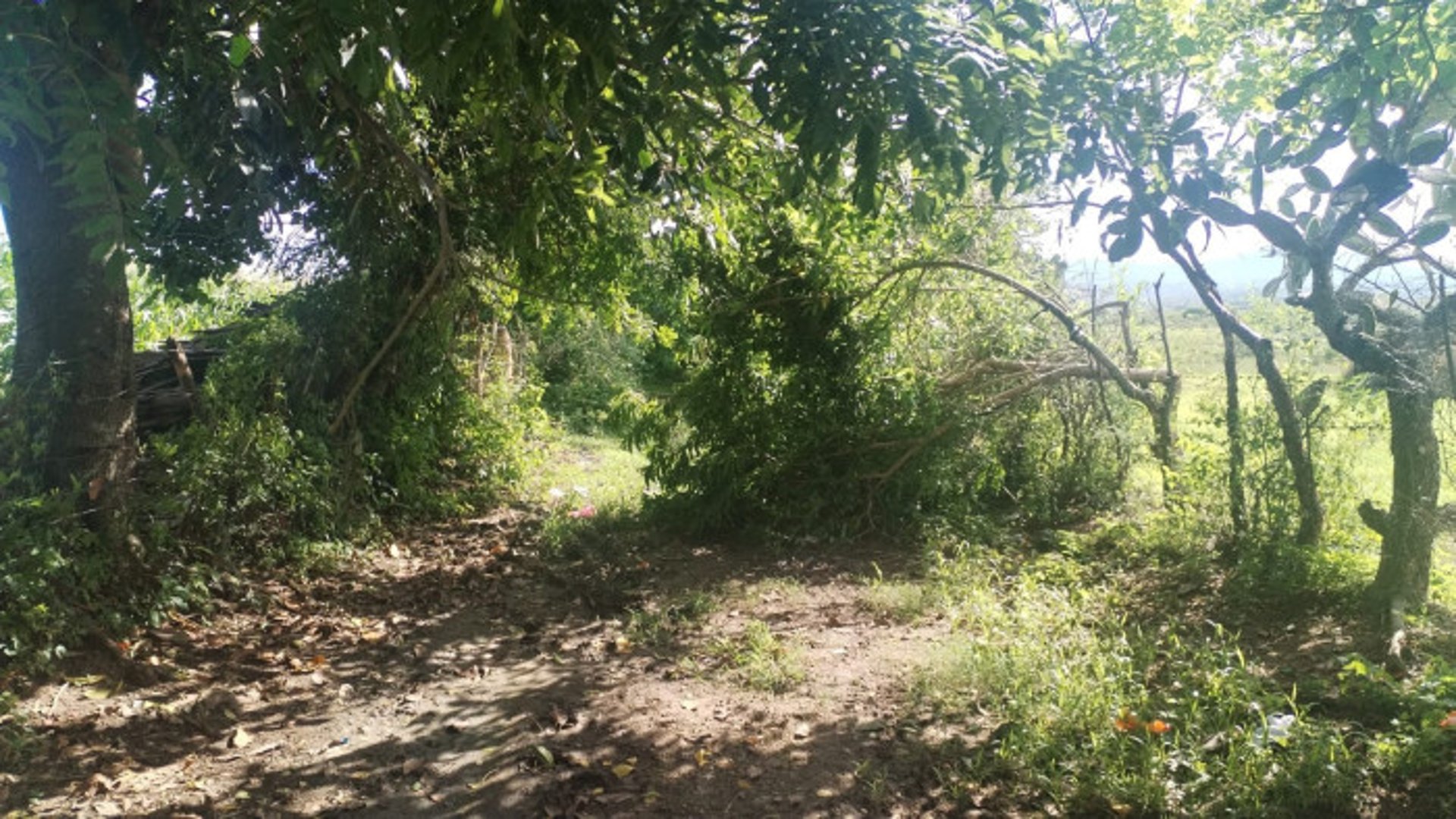Terreno en Venta para Lotificacion San Pedro Pinula, Ja