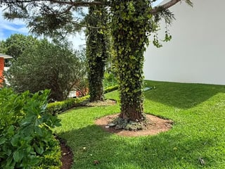 CASA EN VENTA EN BOSQUE ESCONDIDO - 3