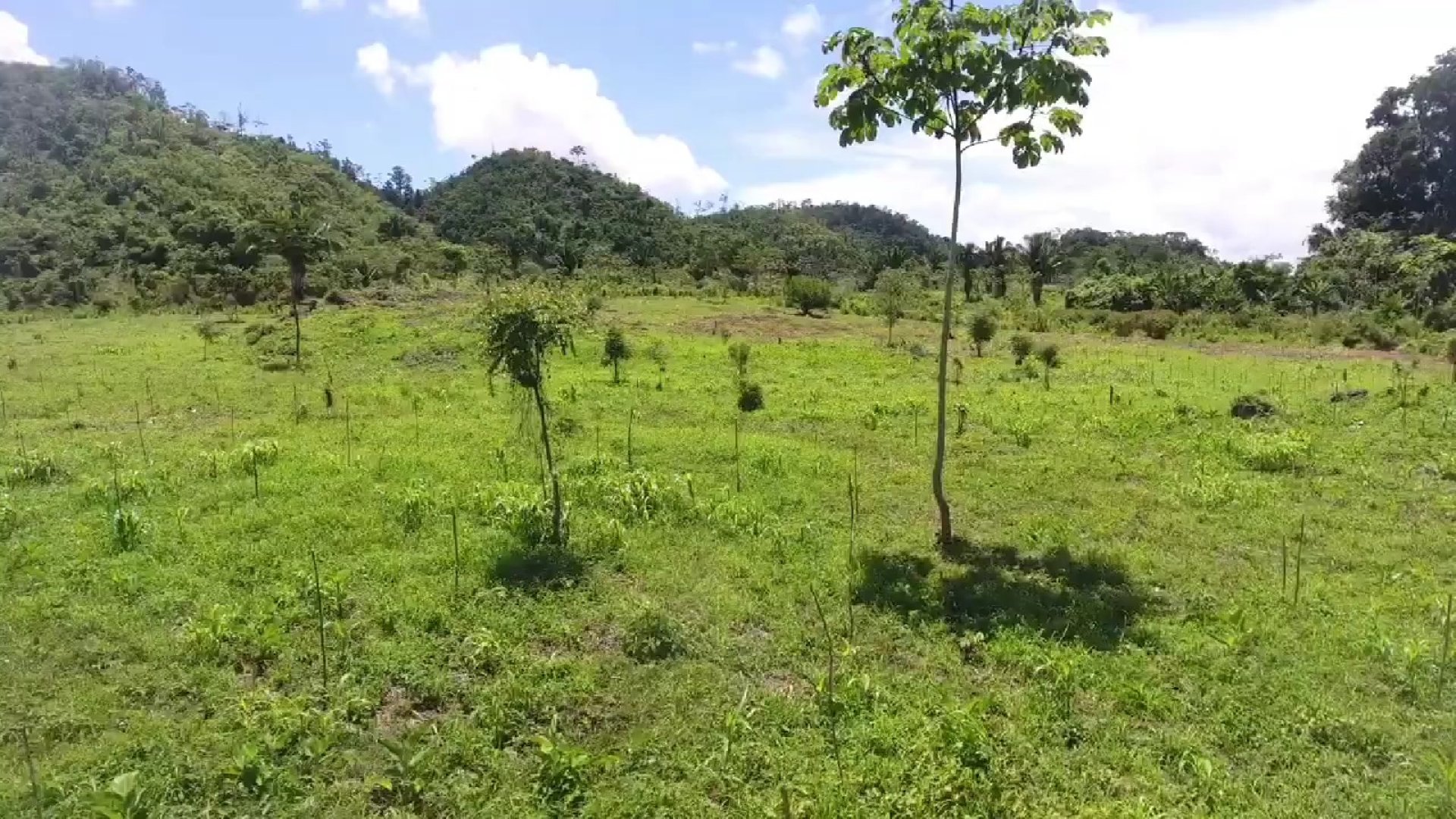 FINCA EN VENTA EN ALTA VERAPAZ - Miniatura 15
