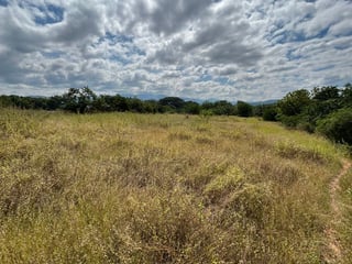 Terreno en Alquiler / Venta Ruta al Atlántico, Km. 116  - 2