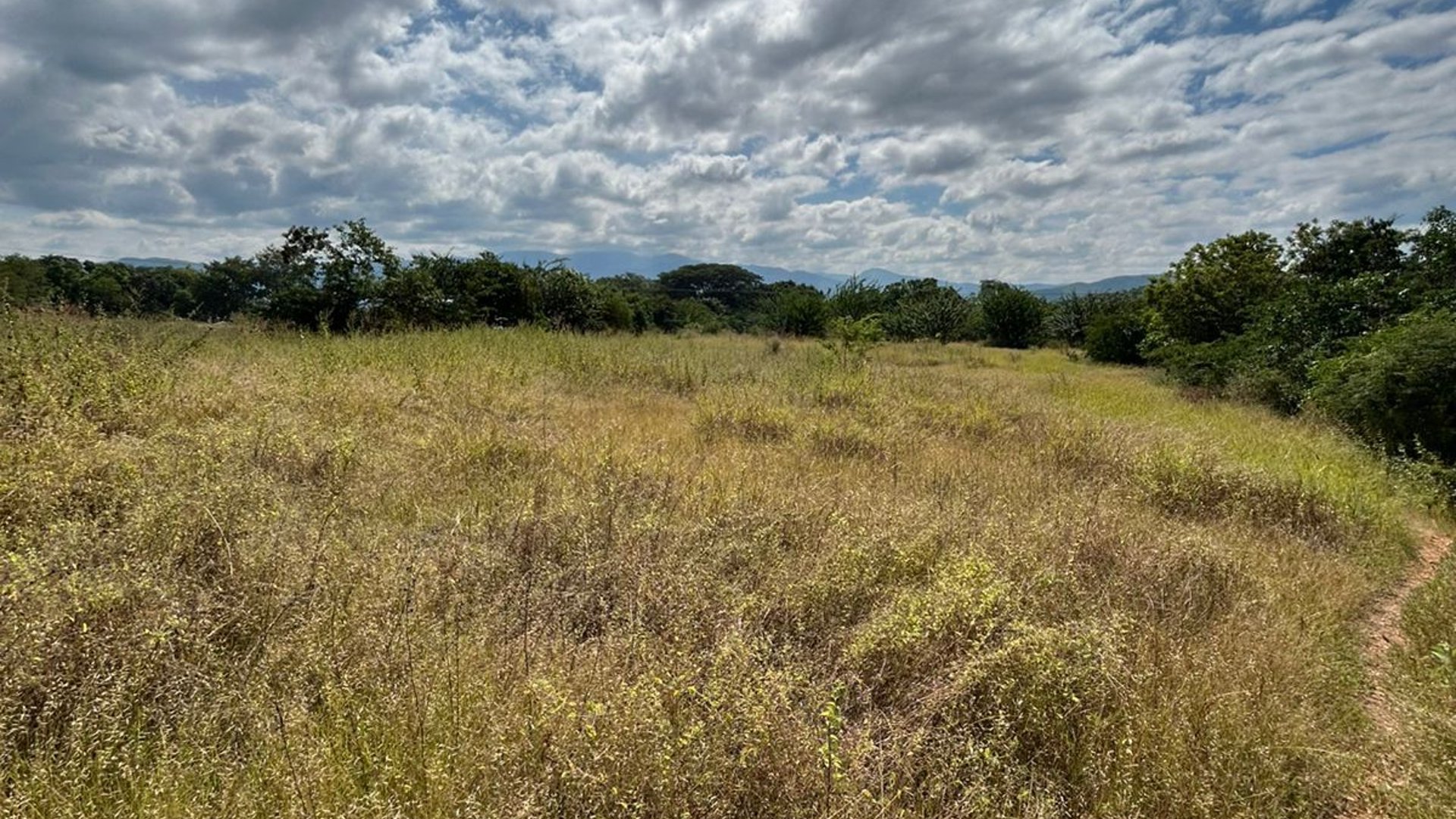 Terreno en Alquiler / Venta Ruta al Atlántico, Km. 116  - Miniatura 2