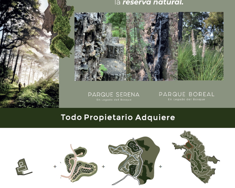 Terrenos en AUREL Legado del Bosque | Zona 16 - Miniatura 2