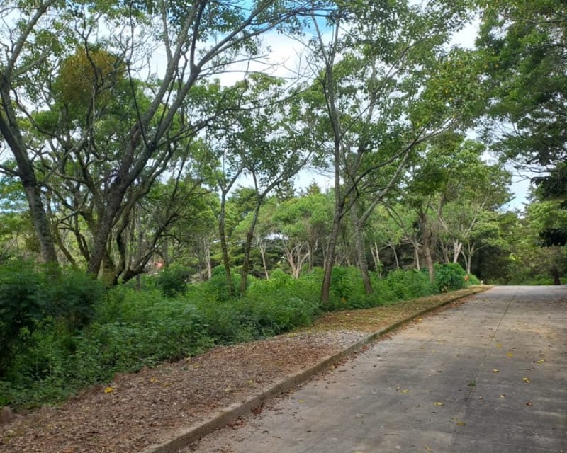 Terreno Residencial en Venta en Carretera a El Salvador
