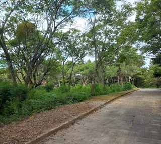 Terreno Residencial en Venta en Carretera a El Salvador