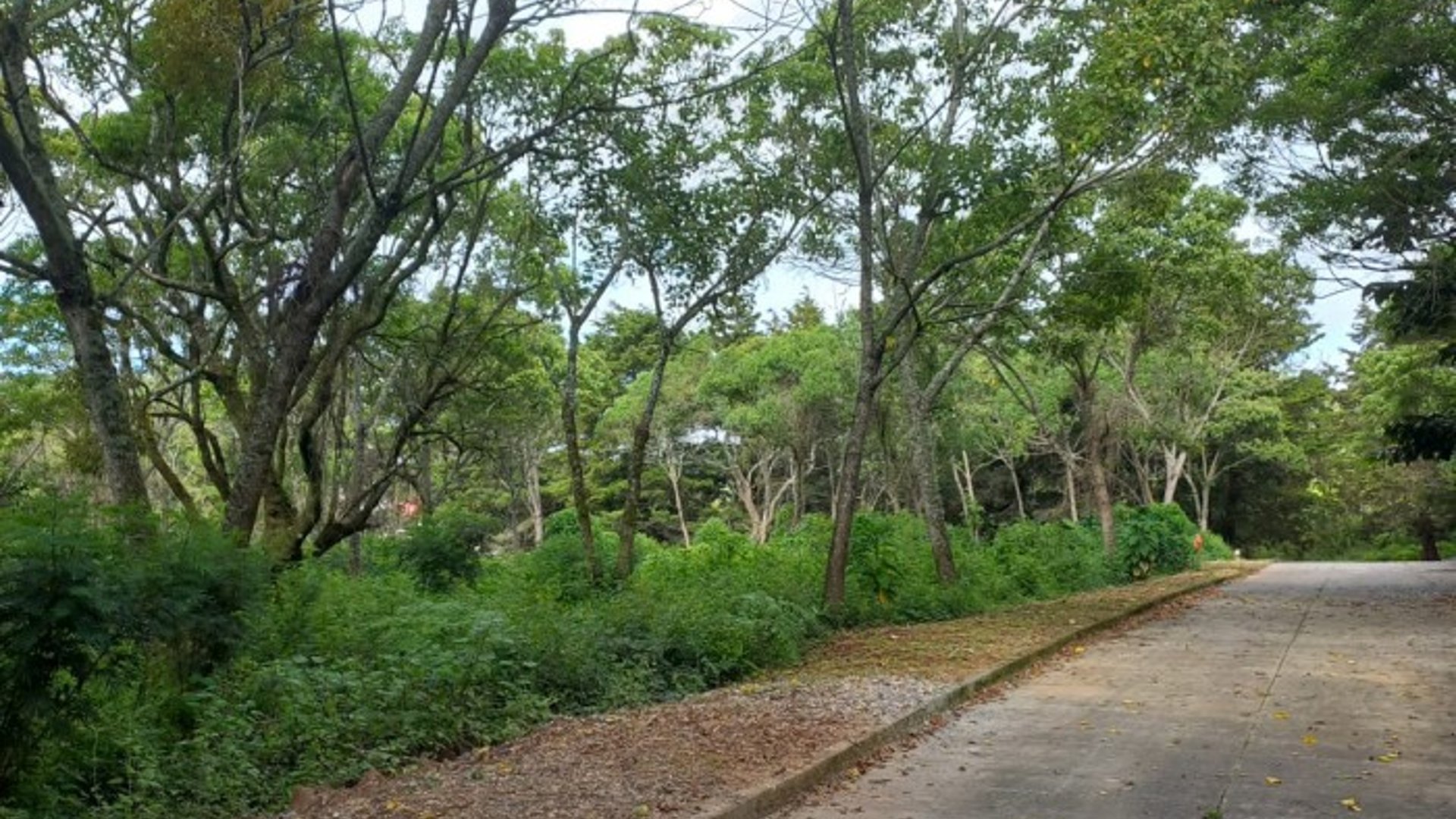 Terreno Residencial en Venta en Carretera a El Salvador