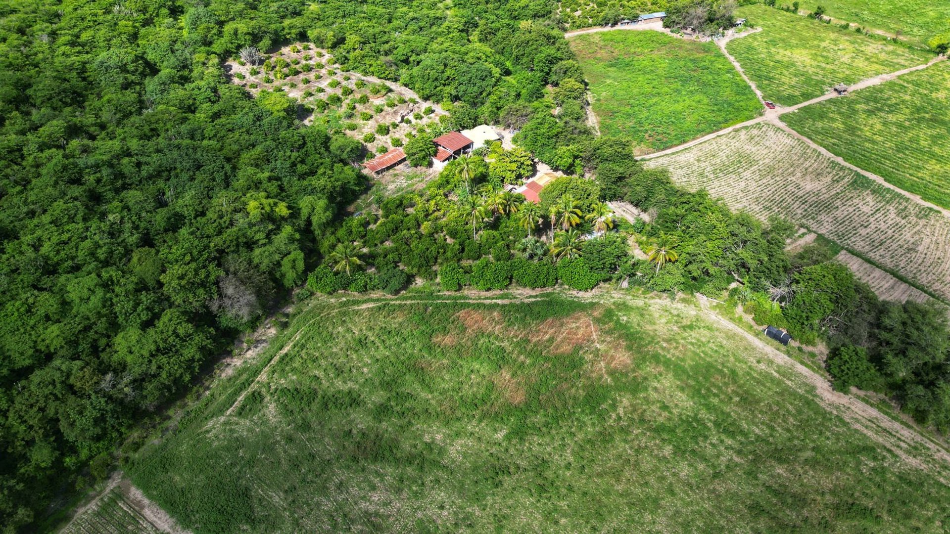 Terreno en venta, en El Progreso - Miniatura 9