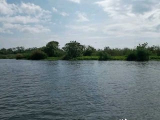 Vendo Terreno en El Estor Izabal - Image 2