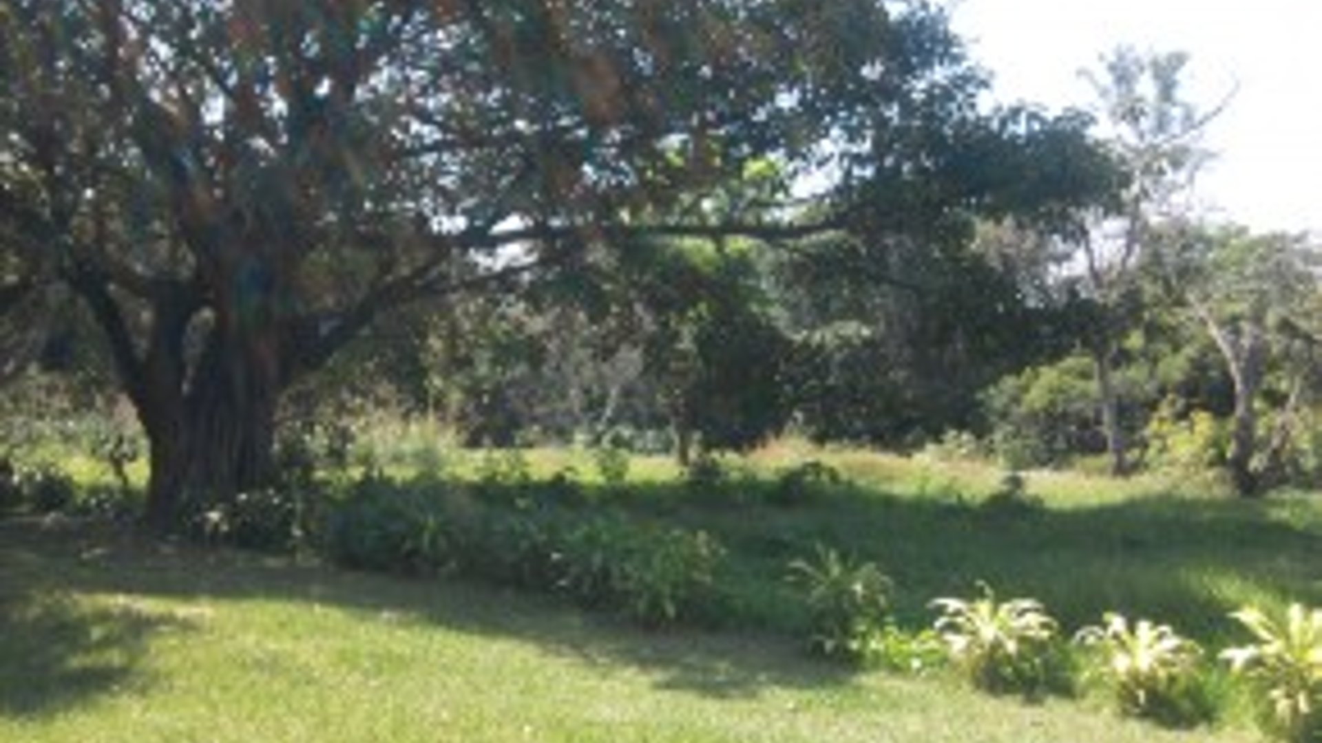 TERRENO  GRANDE EN CAMPO AVENTURA  PALÍN - Miniatura 2