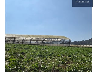 Large Land for Sale in Parcelamiento Santa Rosa, Milpas Altas, Guatemala - 13,800 m² - Agricultural & Commercial Development - $510,000 - Image 6