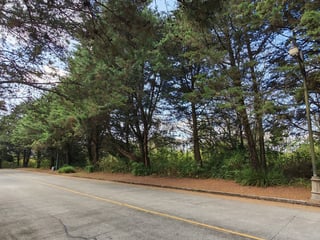 en venta en Casa   Campo Terreno plano - Image 2