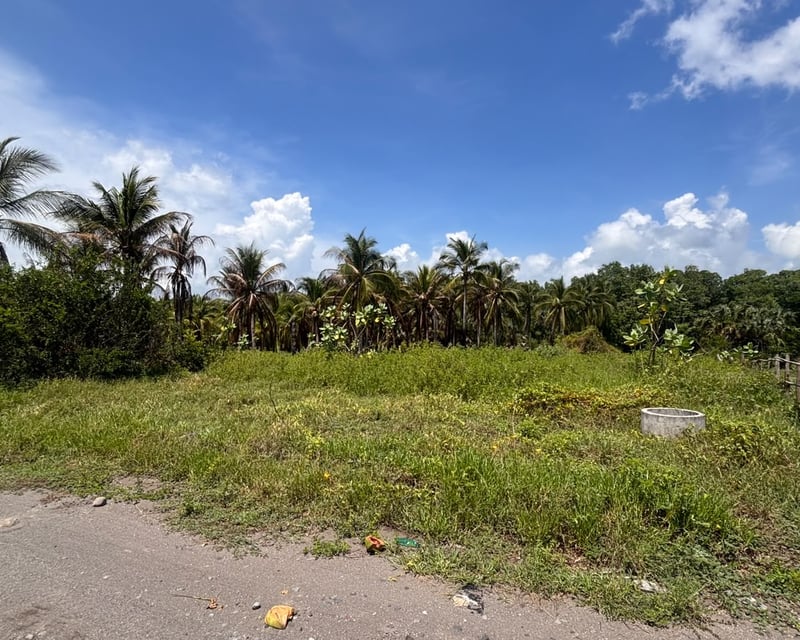 Lote en Venta a 150 mts de playa, Palm Town Beach, Escuintla