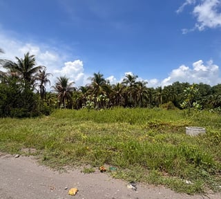 Lote en Venta a 150 mts de playa, Palm Town Beach, Escuintla