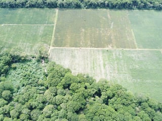 Finca de 17 Manzanas Planas en Venta en CAES Jocotillo - 5