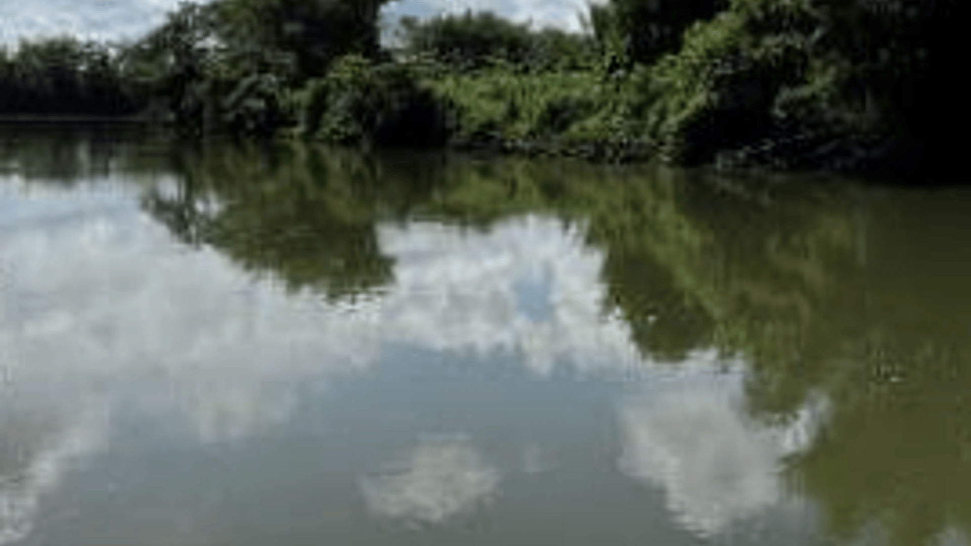 Fincas en VENTA en Aldea Palo Alto Alta Verapaz Coban - Miniatura 10