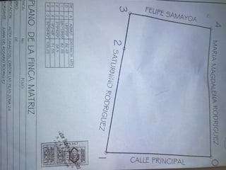 Terreno en Venta z 25 Las Pilas 8,500 mts cuadrados - 2