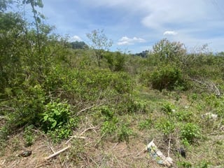 Finca en el km21 carretera a Fraijanes - 2