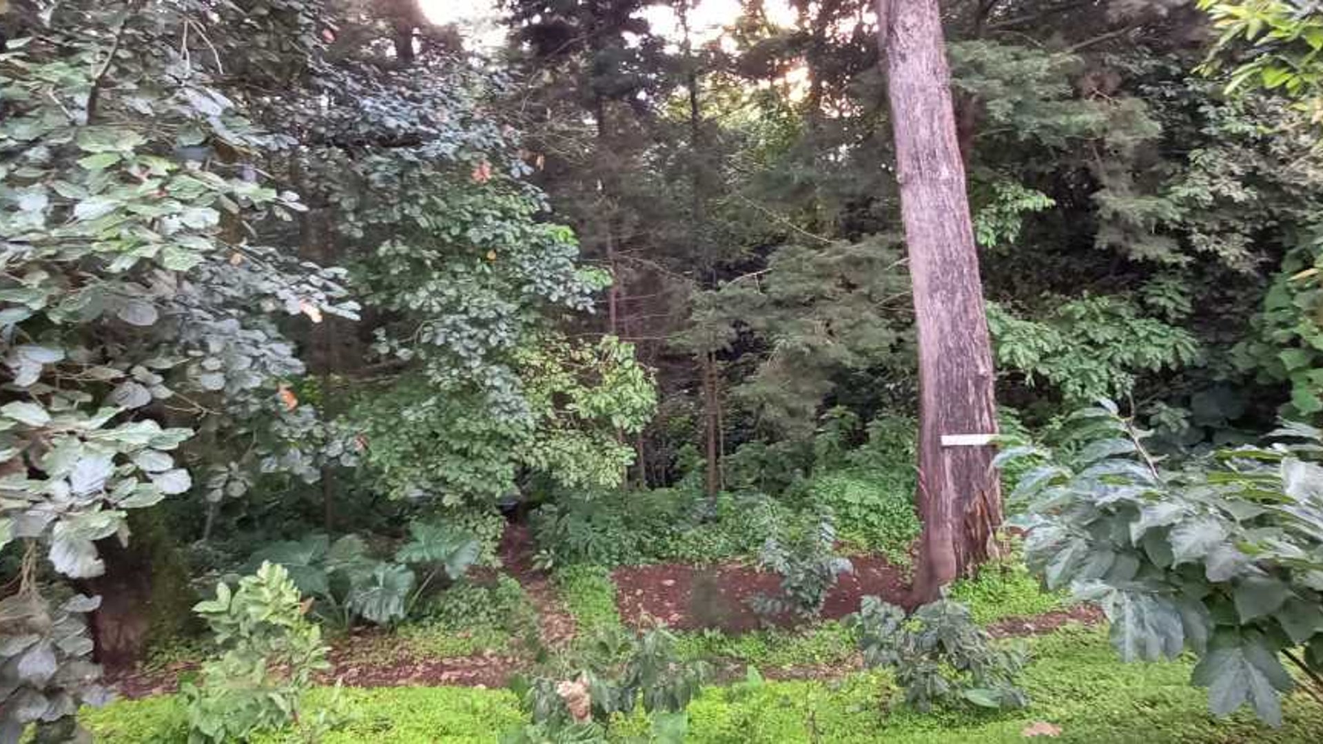 Terreno Rebajado en Santa Lucia Milpas Altas - Miniatura 4