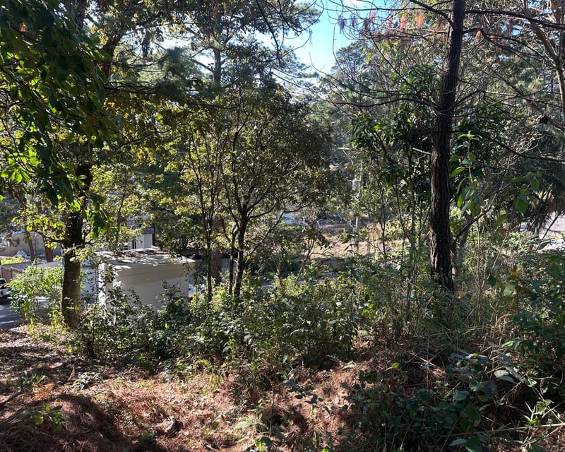 TERRENO EN RESIDENCIALES BOSQUES DE VISTALAGO SANTA CATARINA PINULA 