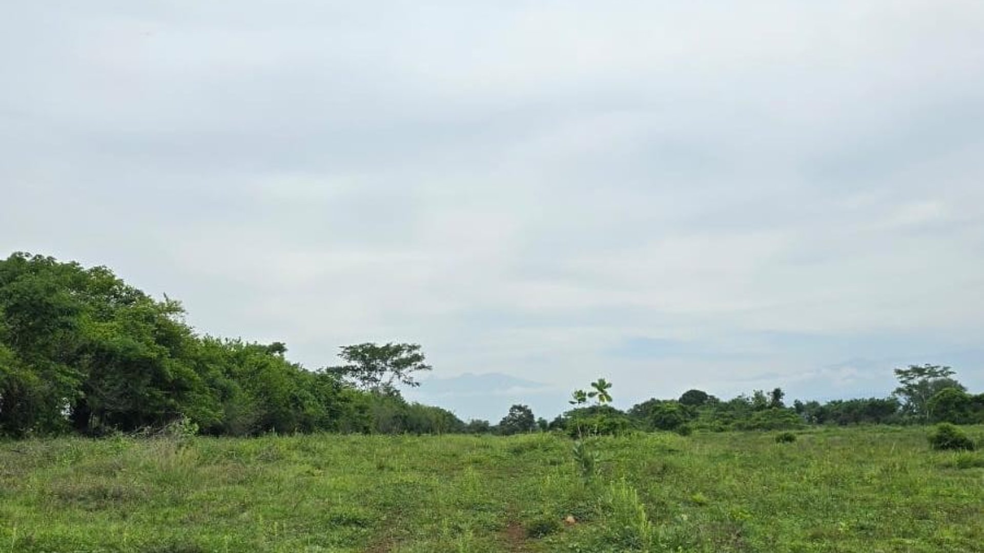 Terreno en venta Caballo Blanco Retalhuleu 9.68 manzanas - Miniatura 2