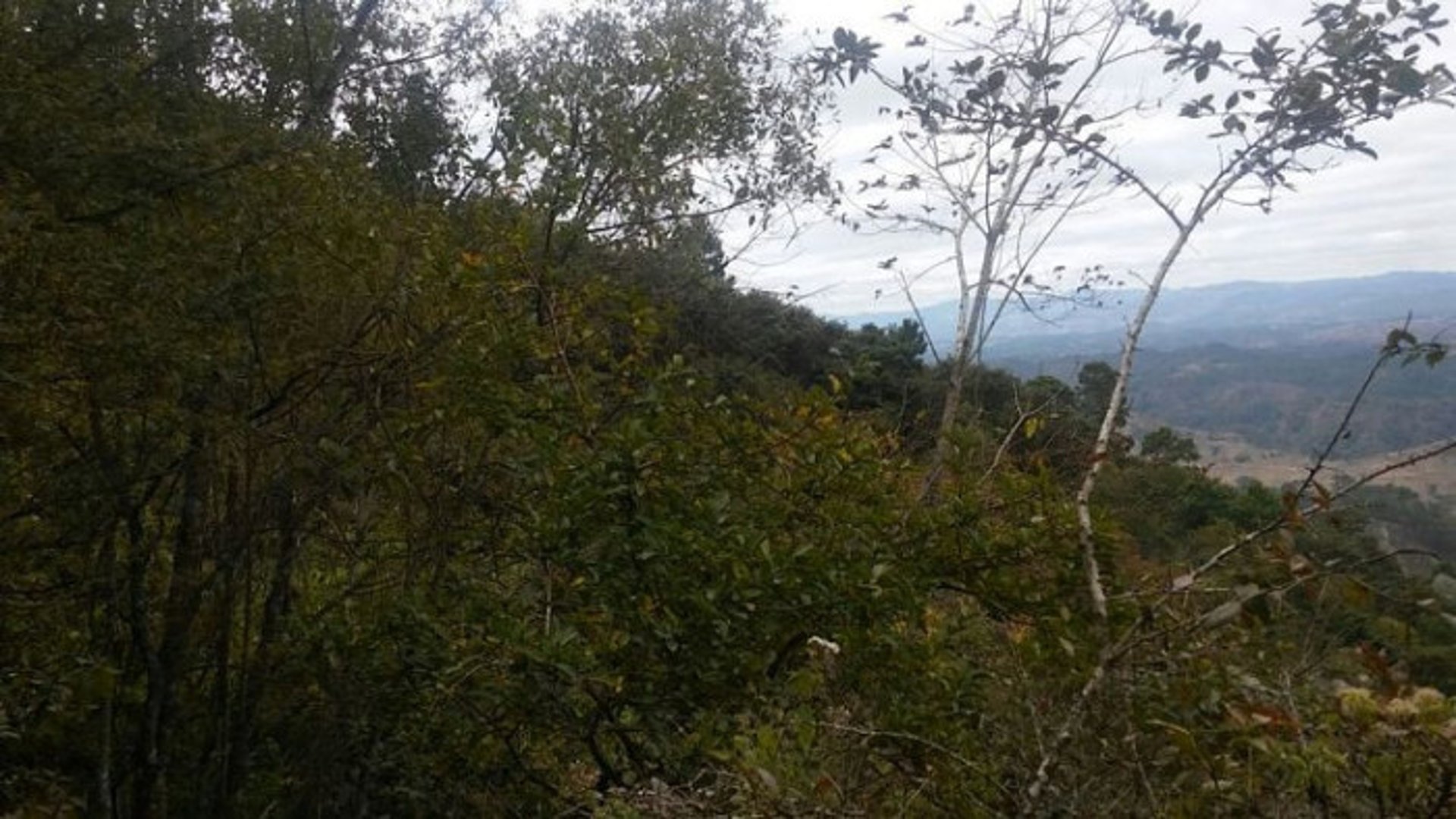 En Venta 70 Manzanas Terreno Boscoso San Pedro Ayampuc - Miniatura 13