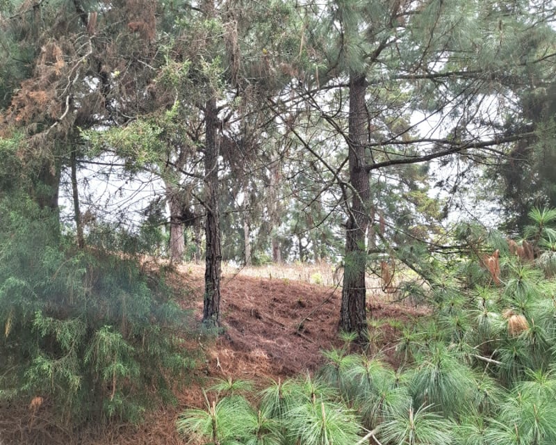 Terreno en Venta en Villa Ecuestre El Pulté Guatemala