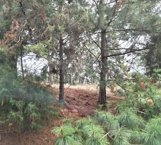 Terreno en Venta en Villa Ecuestre El Pulté Guatemala