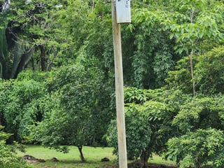 VENTA TERRENO EN LA ENTRADA A PUERTO BARRIOS - 2