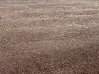 TERRENO EN VENTA EN LO DE DIEGUEZ - FINCA EL MAGUEY - Image 3