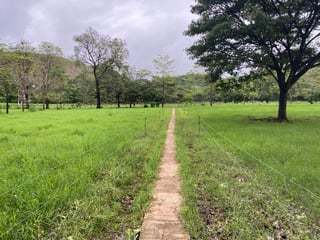 FINCA EN SANTA ROSA - 4
