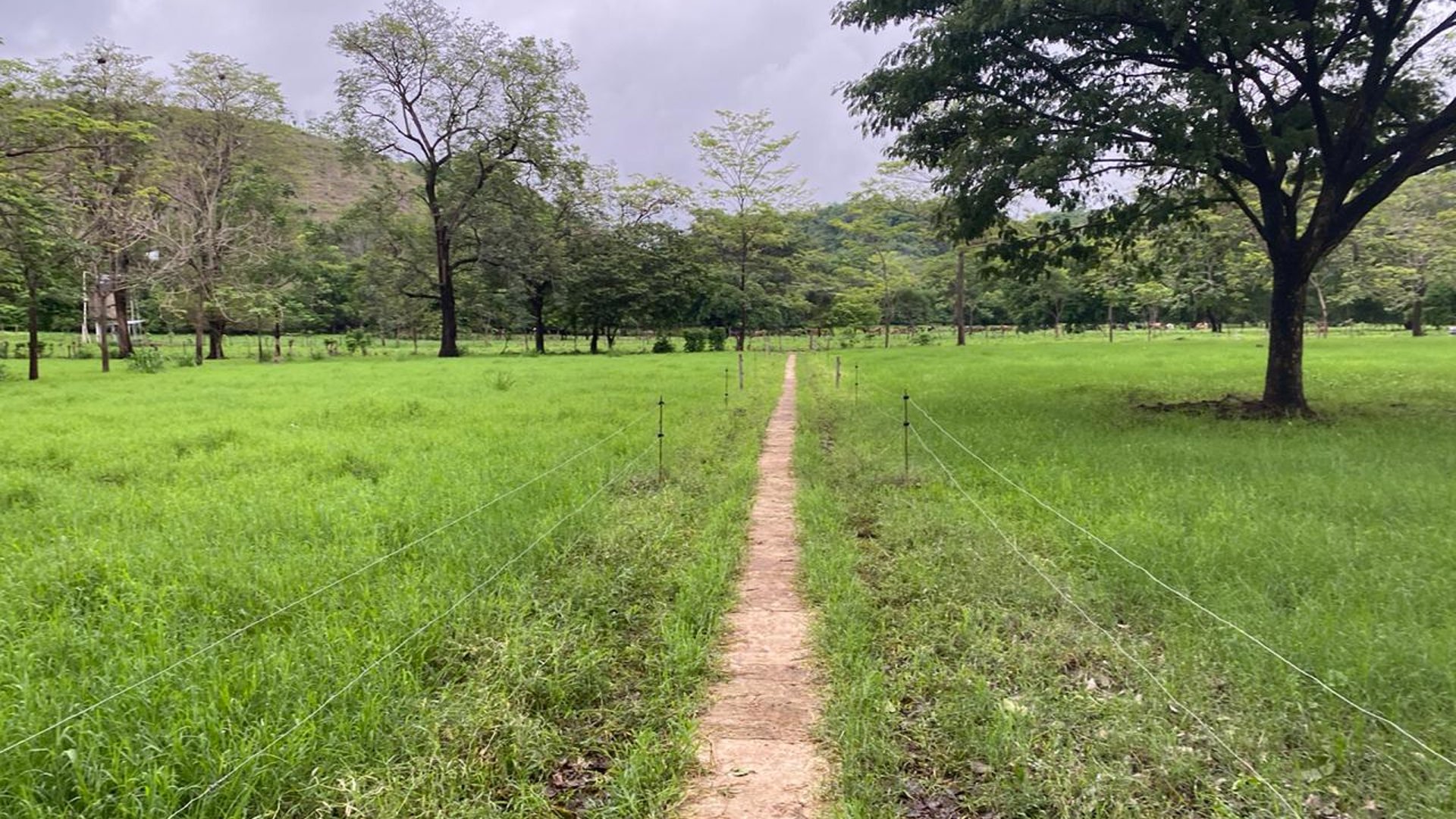 FINCA EN SANTA ROSA - Miniatura 4