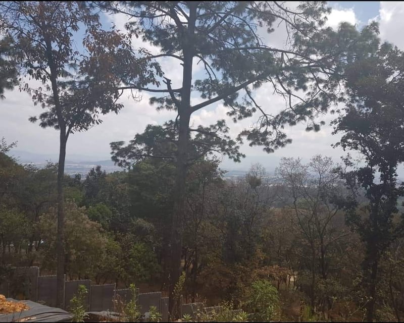 EL ENCINAL/ TERRENO EN VENTA