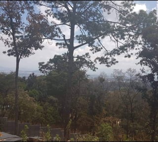 EL ENCINAL/ TERRENO EN VENTA